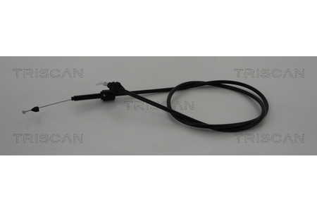 Triscan 814025336 GASZUG