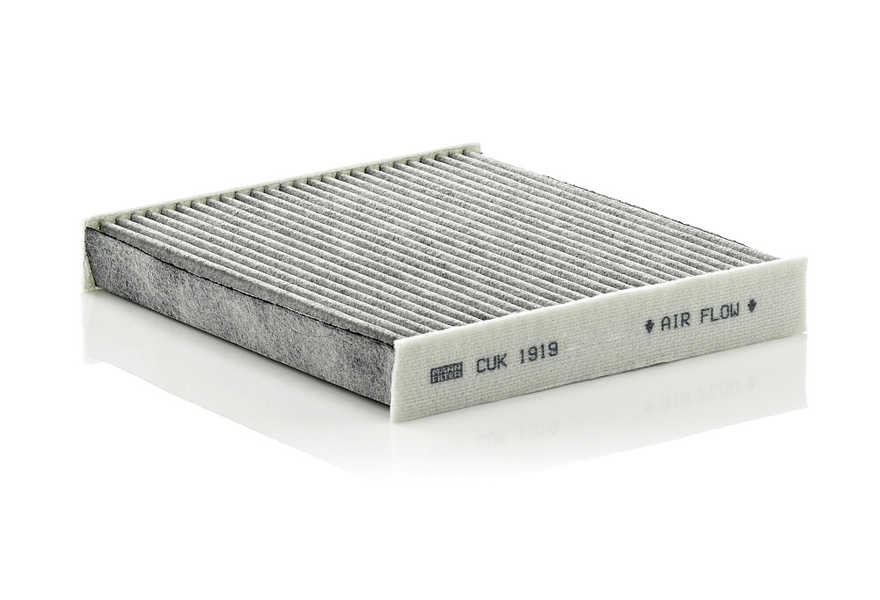 Mann-Filter Filtro de polen-0