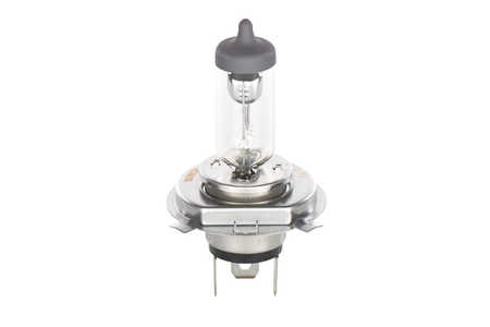Bosch Ampoule, projecteur principal Pure Light WS