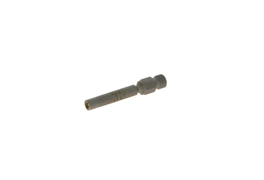 Bosch Einspritzventil-0
