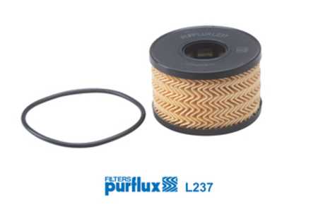 Purflux Filtro olio-0