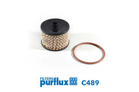 Purflux Kraftstofffilter-0