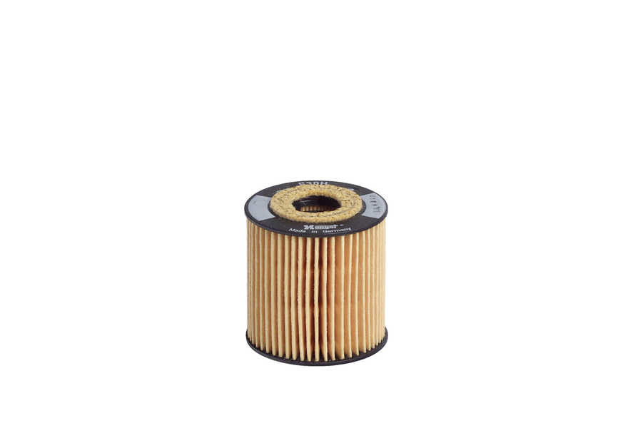 Hengst Filter Filtro de aceite-0