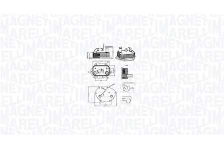 Magneti Marelli Radiador de aceite, aceite motor-0