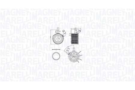 Magneti Marelli Radiatore olio, Olio motore-0