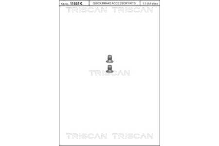 Triscan Kit bulloni, Disco freno-0