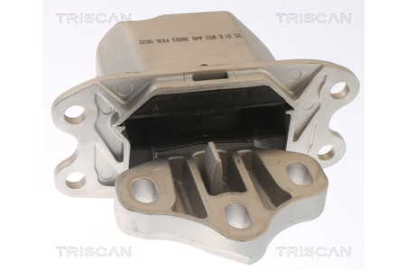 Triscan Aslichaam-/motorsteunlager-0