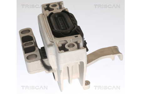Triscan Motor-Lagerung-0