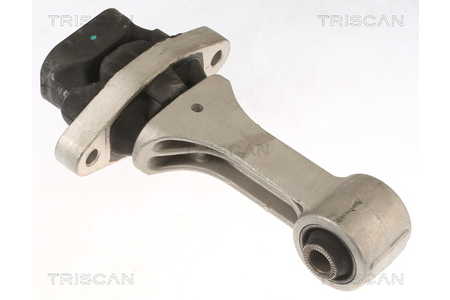 Triscan Motor-Lagerung-0