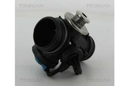 Triscan AGR-Ventil-0