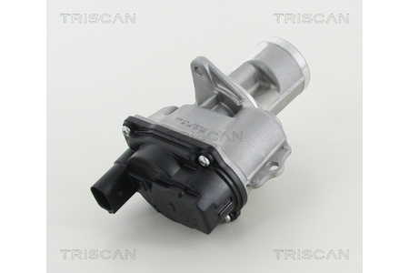 Triscan AGR-Ventil-0