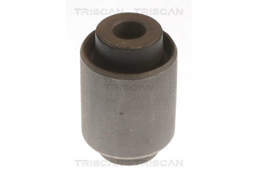 Triscan Lenker-Lagerung-0