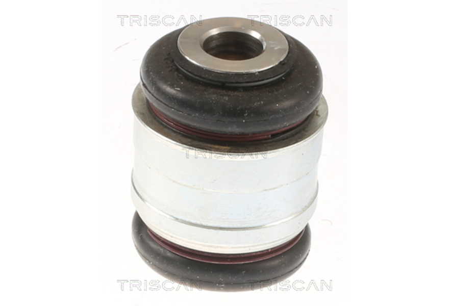 Triscan Querlenker-Lagerung-0