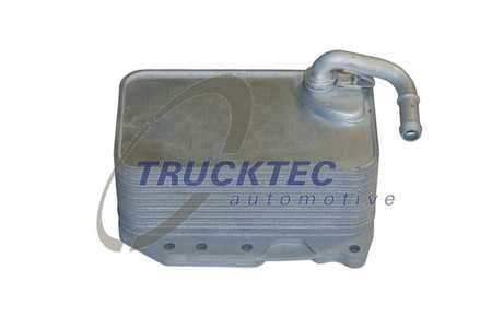 TRUCKTEC AUTOMOTIVE Radiatore olio, Olio motore-0