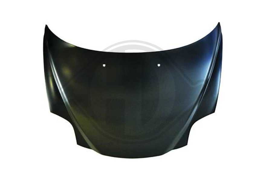 Diederichs Motorhaube-0