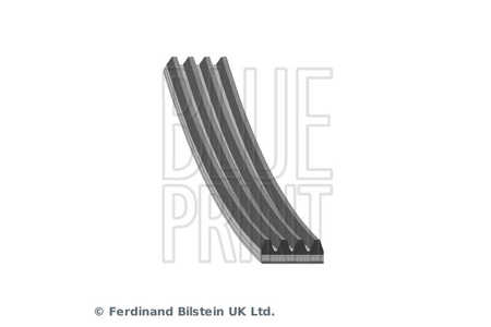 Blue Print AD04R855 Correa trapecial poli V