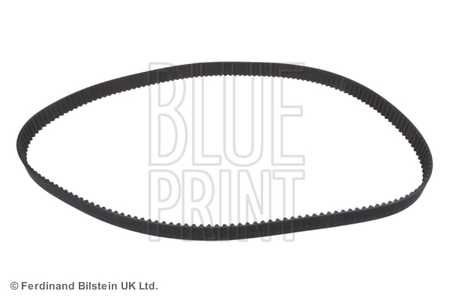Blue Print Cinghia dentata-0
