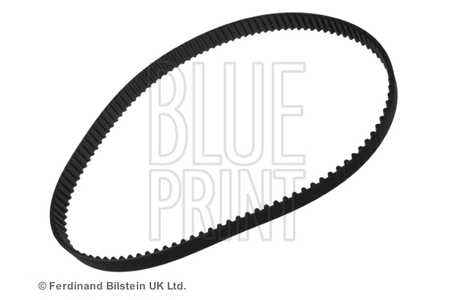 Blue Print Cinghia dentata-0