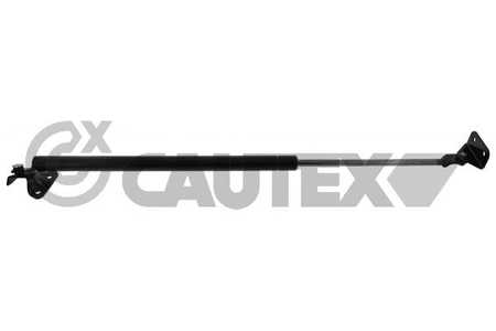 CAUTEX Ammortizatore pneumatico, Cofano bagagli /vano carico-0