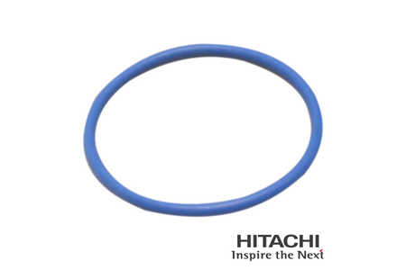 Hitachi Kraftstoffpumpe, Dichtung-0