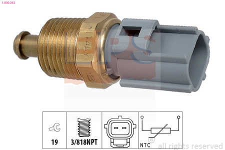 EPS Sensor, temperatura del aceite Made in Italy - OE Equivalent-0