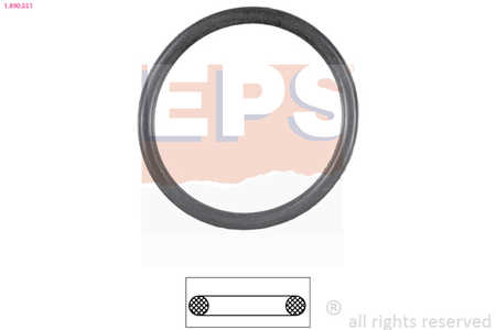 EPS Guarnizione, Termostato Made in Italy - OE Equivalent-0