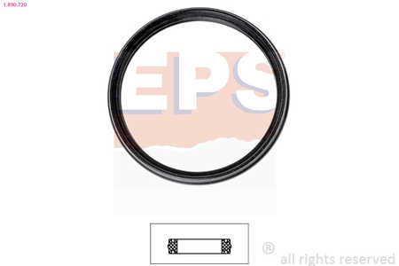 EPS Thermostat-Dichtung Made in Italy - OE Equivalent-0