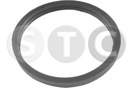 STC Thermostat-Dichtung-0