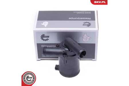 ESEN SKV Pompa dell'acqua supplementare (circuito acqua di raffred.)-0