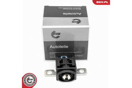 ESEN SKV Sensor, accumanagement-0