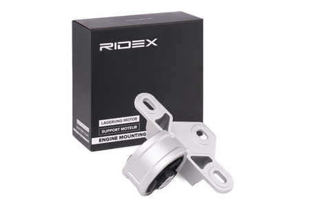 RIDEX Aslichaam-/motorsteunlager-0
