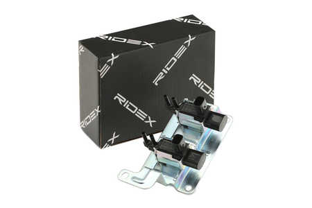 RIDEX Luftsteuerung-Ansaugluft-Ventil-0