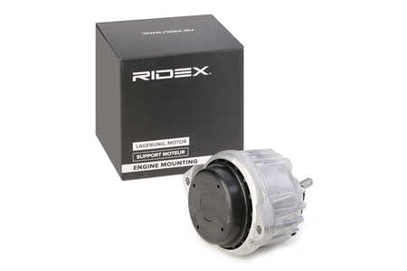 RIDEX Aslichaam-/motorsteunlager-0