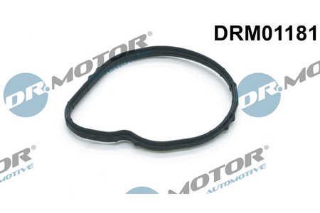 Dr.Motor Automotive Thermostat-Dichtung-0