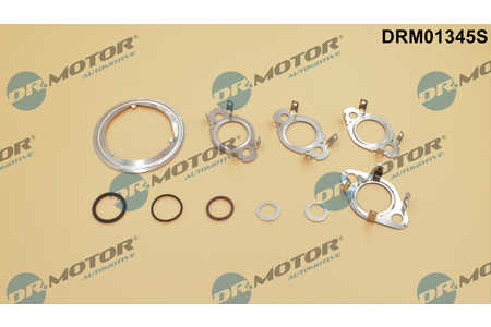 Dr.Motor Automotive Kit guarnizioni, Sistema-EGR-0