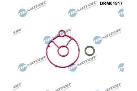 Dr.Motor Automotive Motor-Ölkühler-Dichtungssatz-0