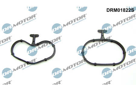 Dr.Motor Automotive Motor-Ölkühler-Dichtungssatz-0