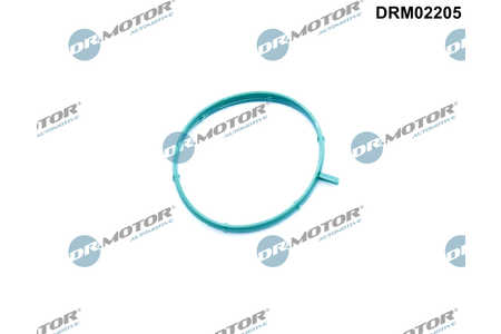 Dr.Motor Automotive Thermostatgehäuse-Dichtung-0