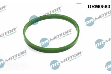 Dr.Motor Automotive Dichtring, Lader-0